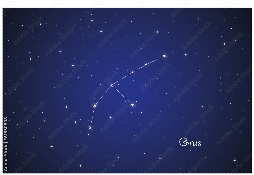 Constellation Grus