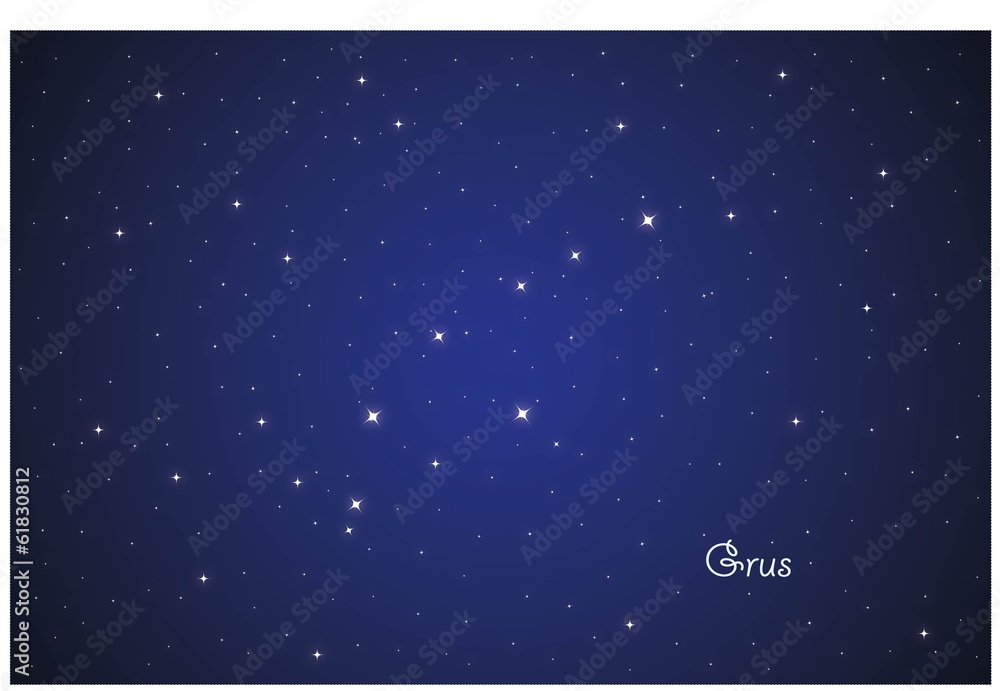 Obraz premium Constellation Grus