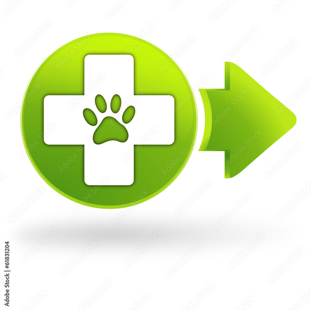 vétérinaire sur symbole web vert vétérinaire sur symbole web vert