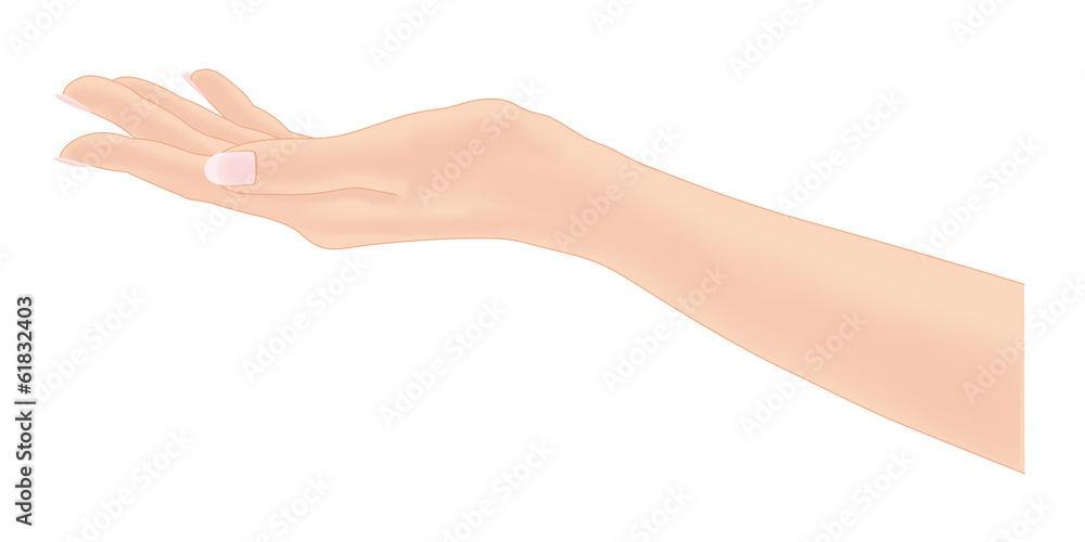 女性の手 女性の手