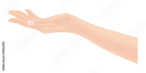 女性の手 © koti