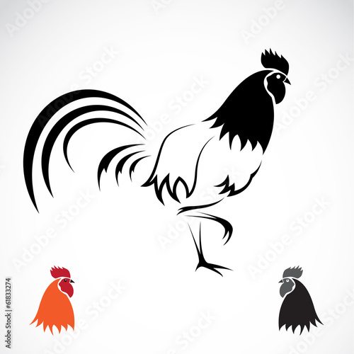 Vector image of an cock