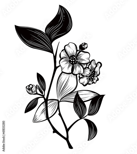 Tea plant