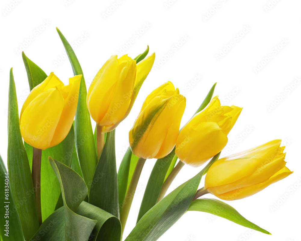 Flower bouquet from yellow tulips isolated on white background. Flower bouquet from yellow tulips isolated on white background.
