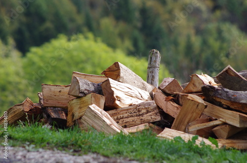 buches de bois de chauffage