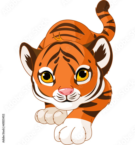 Crouching baby tiger
