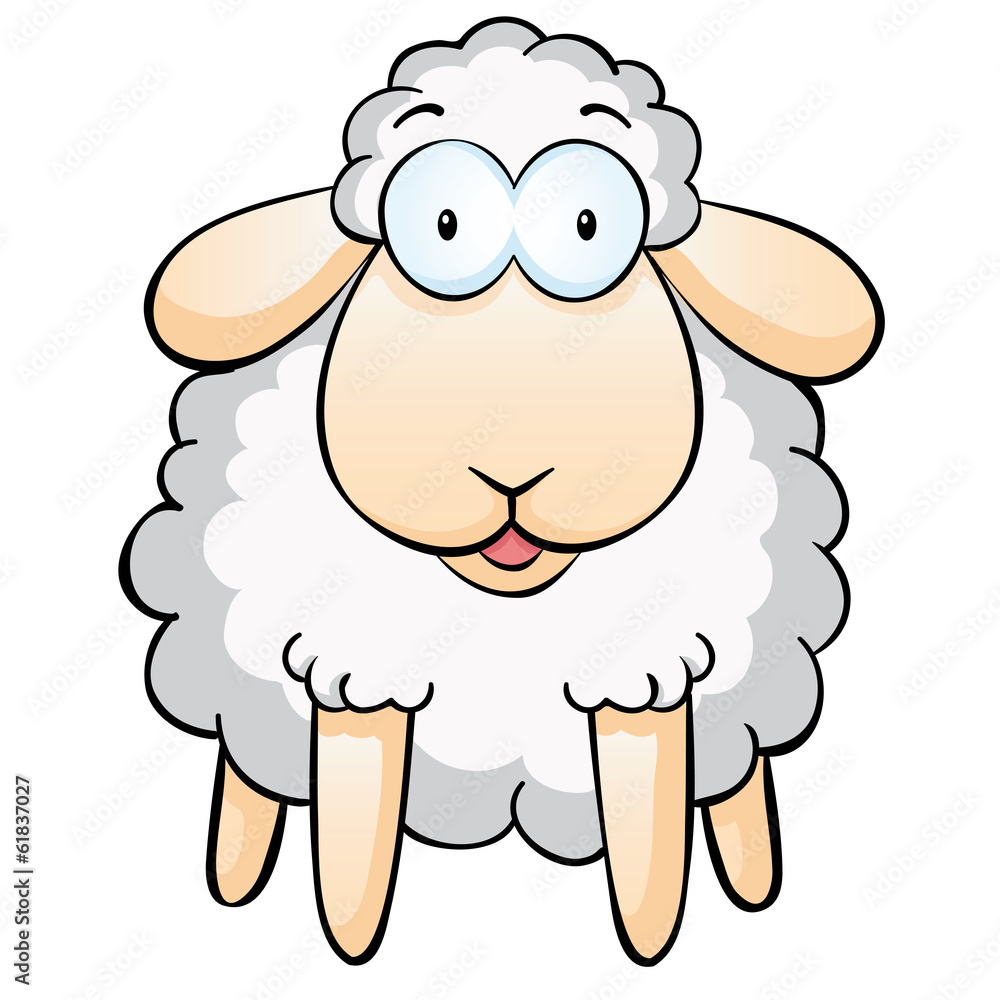 aufgebrachtes Schaf aufgebrachtes Schaf