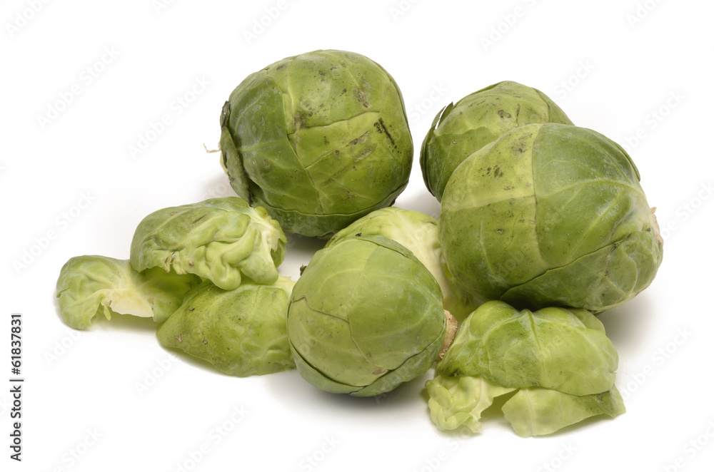 Fototapeta premium Rosenkohl