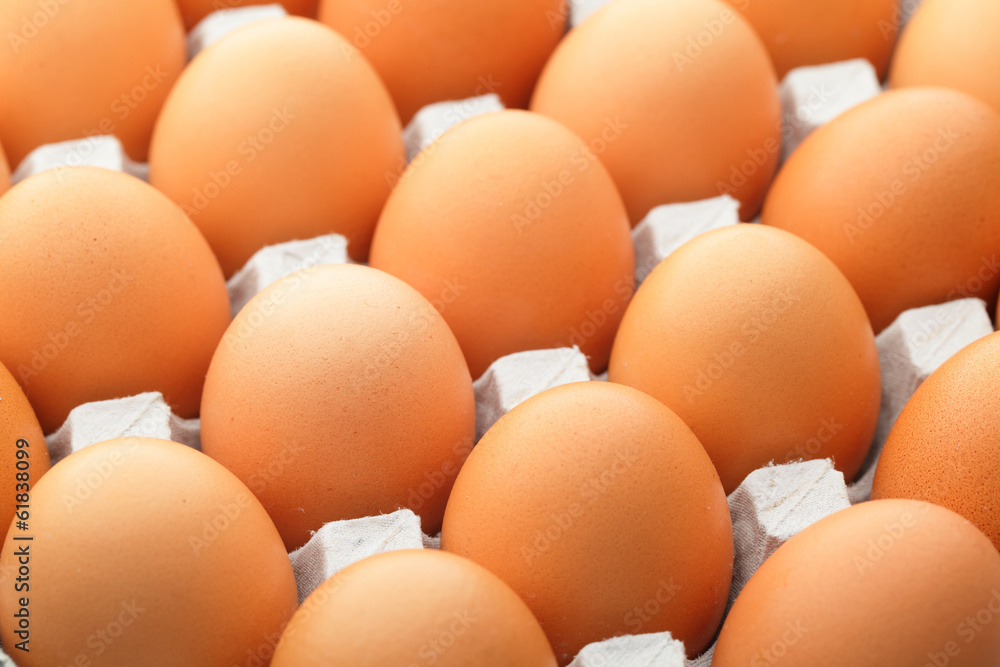 Egg Egg