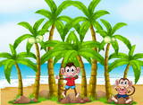 Monkeys at the beach with coconut trees