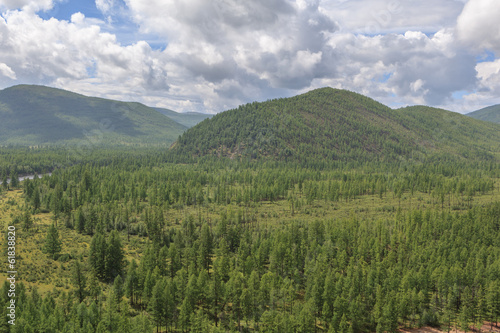 Wood mountain hills