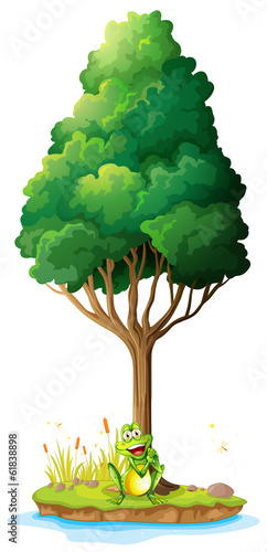 An island with a frog under the tree