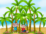 Two monkeys at the beach near the coconut trees