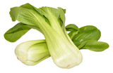 Pak Choi Chinese Cabbages