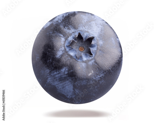 Blue berry on white background