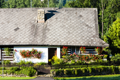 cottage with plants, Czech Republic #61841843