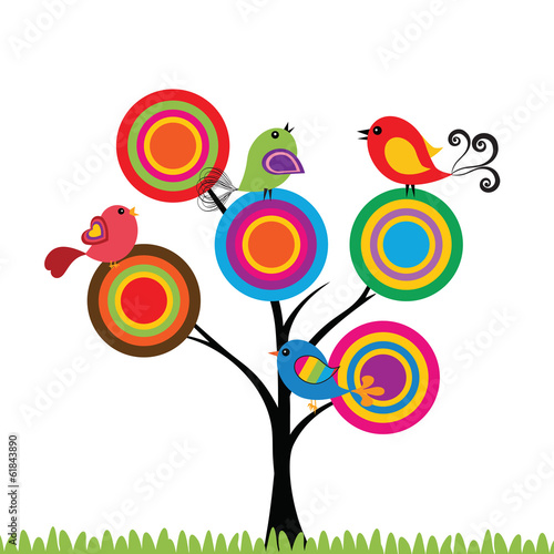 Birds