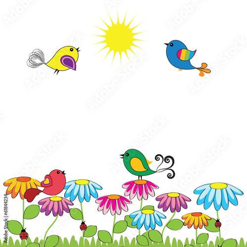 Birds