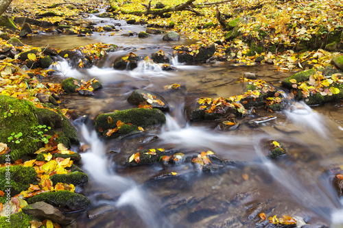 brook in autumn, Slovakia
