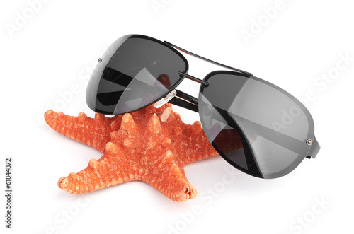 sea star and sungasses photo