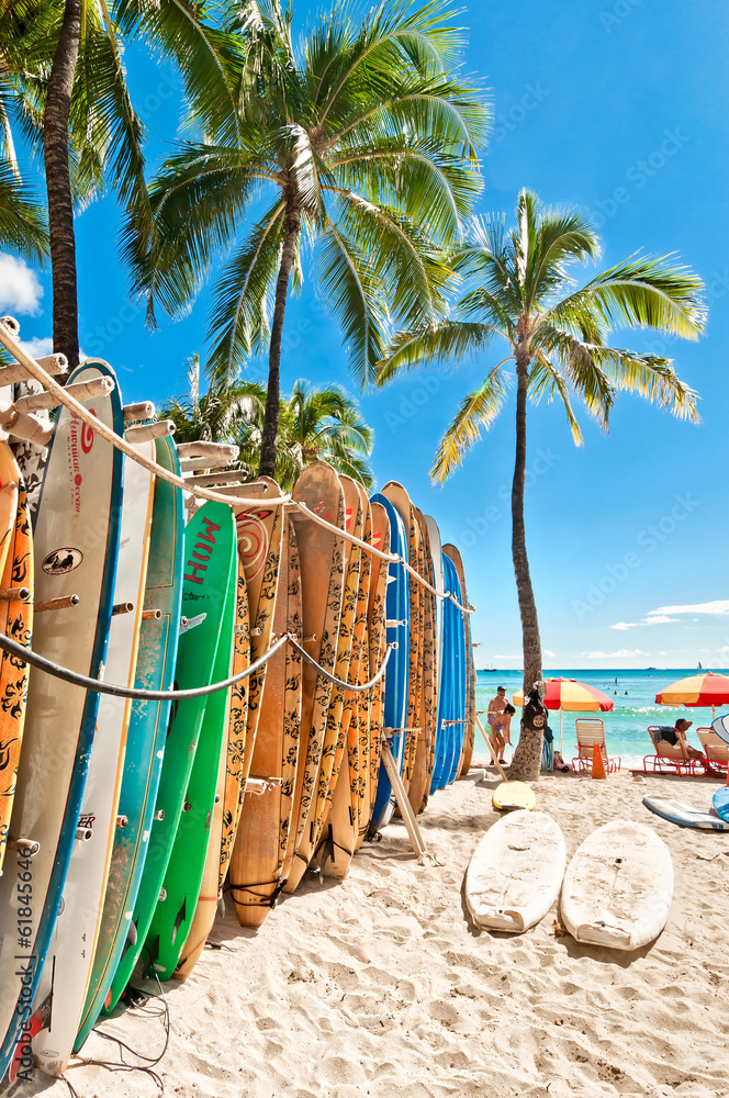 Surfboards in the rack at Waikiki Beach - obrazy, fototapety, plakaty 