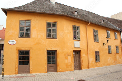 Der denkmalgeschützte Magdalenenhof in Baden bei Wien