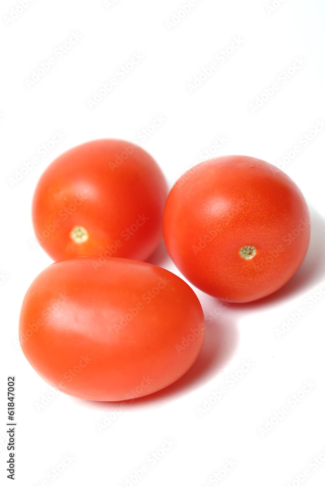 fresh tomato fresh tomato