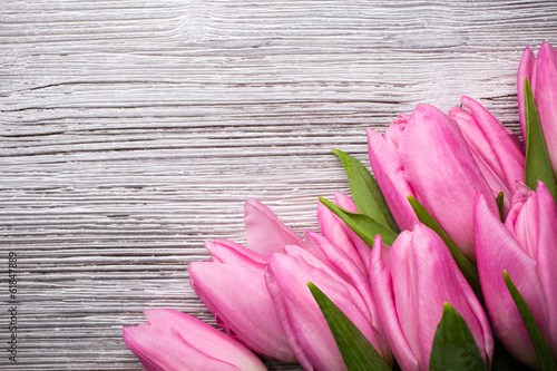 Fototapeta Naklejka Na Ścianę i Meble -  Tulip.