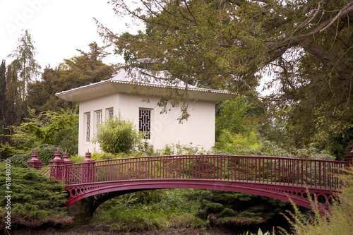 Chinese Garden at Shugborough Hall photo