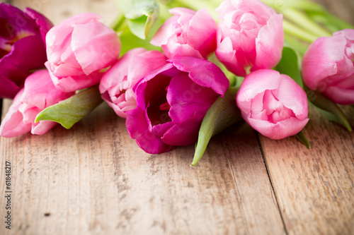 Fototapeta Naklejka Na Ścianę i Meble -  Tulip.