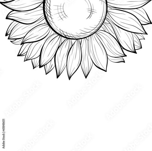 black and white background, floral border of sunflower