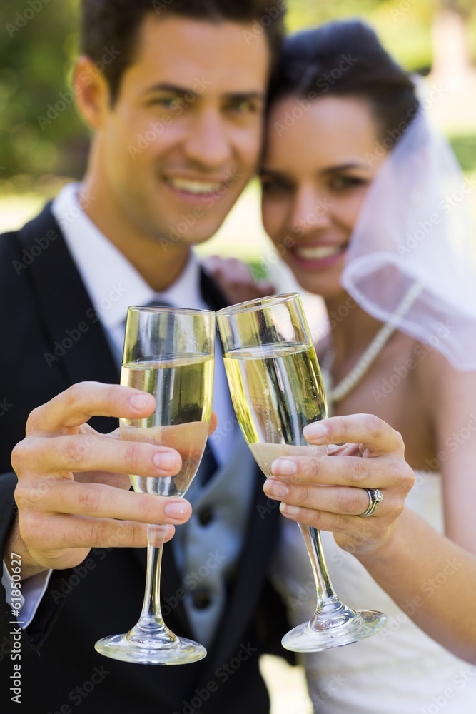 Newlywed toasting champagne flutes at park Newlywed toasting champagne flutes at park