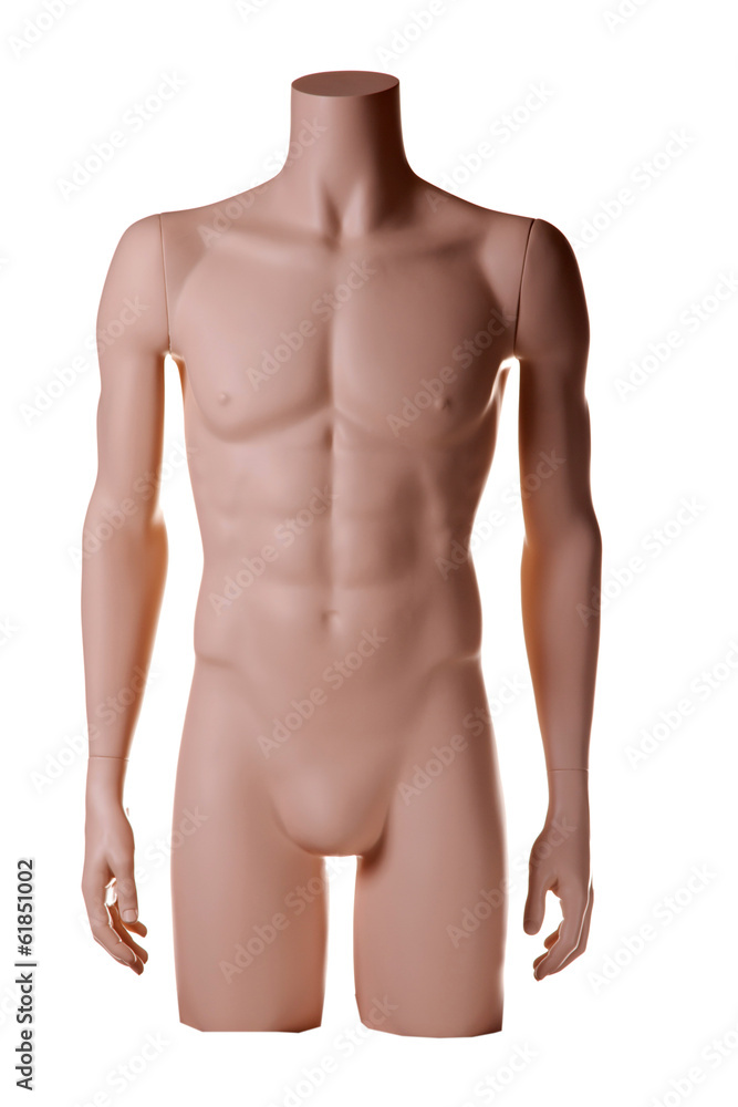 Fototapeta premium mannequin male isolated