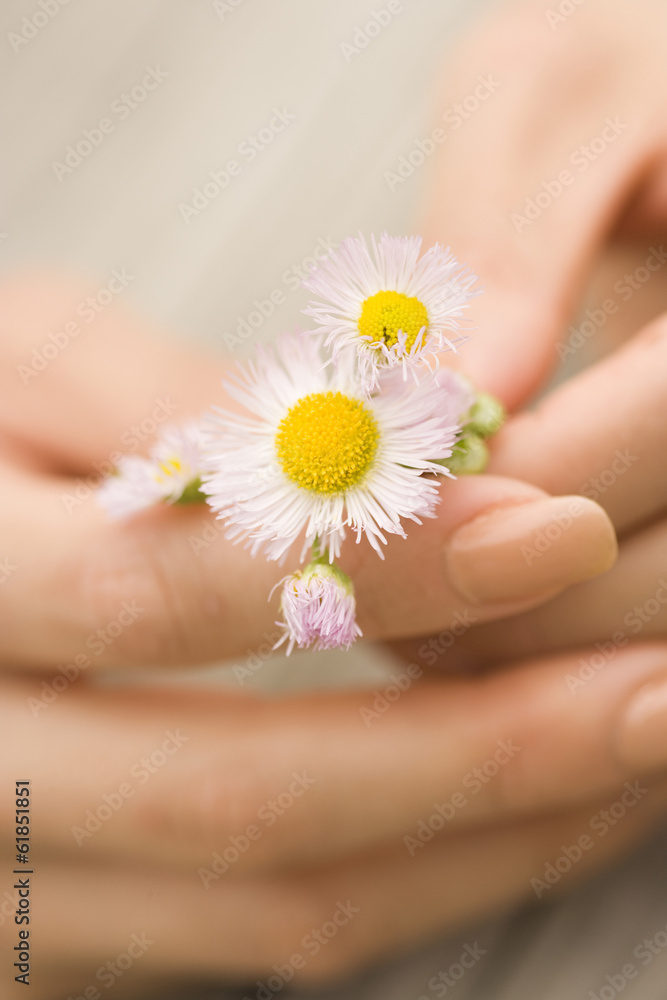 flower and hand flower and hand