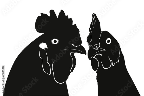 Cock a hen a chicken of a bird farm