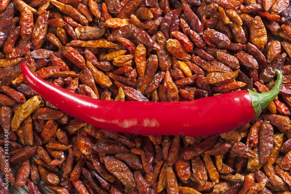 Hintergrund mit Chilischote auf getrockneten Chilischoten Hintergrund mit Chilischote auf getrockneten Chilischoten