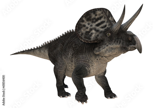 Dinosaur Zuniceratops © photosvac
