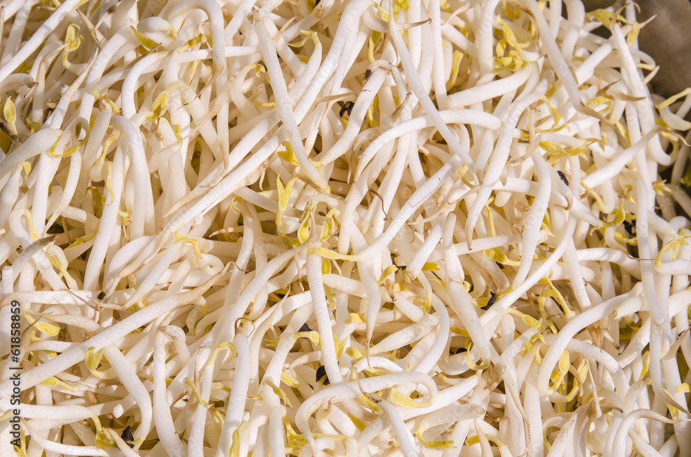 Bean Sprouts on dish