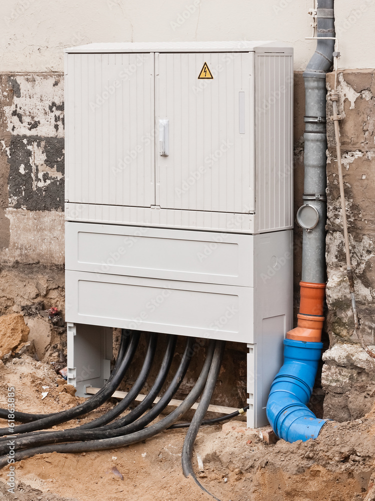 Catawba Grapevine - Certified main image 0