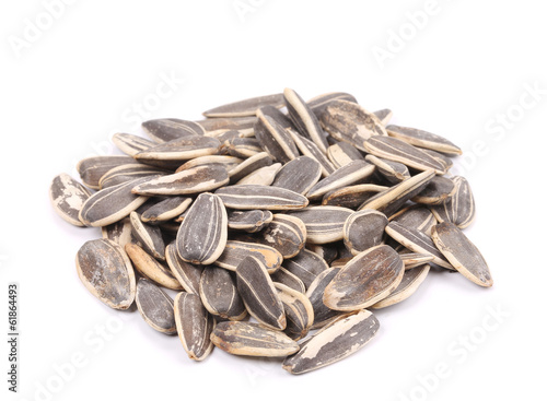 Bunch of sunflower seeds.