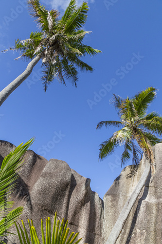 Kokospalmen und Granitfelsen am Source d´Argent auf La Digue photo