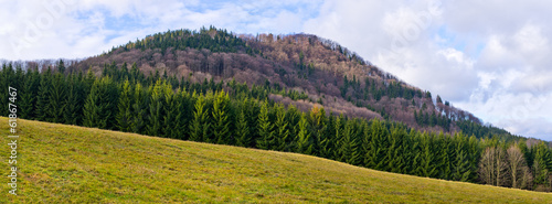 Single peak with forest