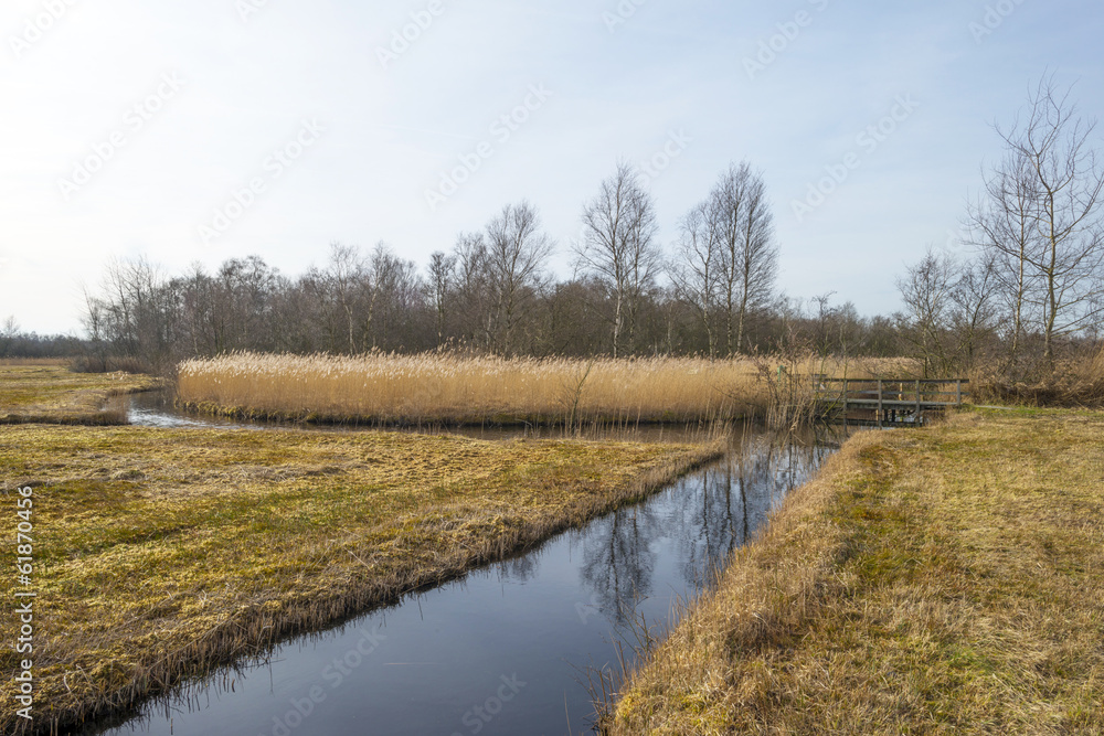 Wooden footbridge over a stream through wetland