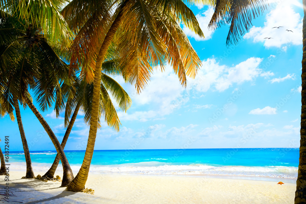 Art beautiful untouched tropical sea beach Art beautiful untouched tropical sea beach