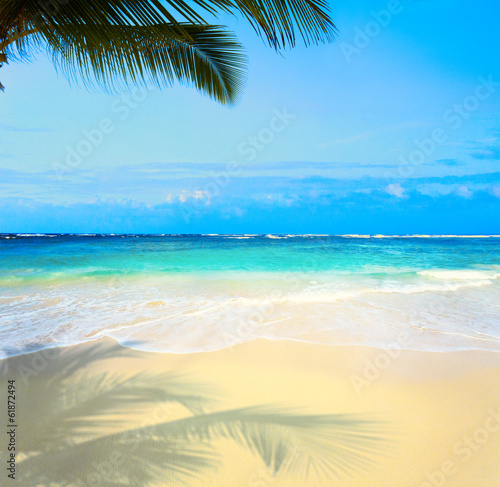 Fototapeta Naklejka Na Ścianę i Meble -  Art  beautiful untouched tropical sea beach