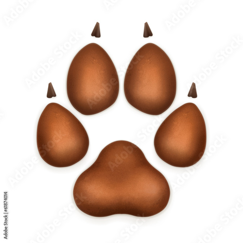 Dog paw, vector