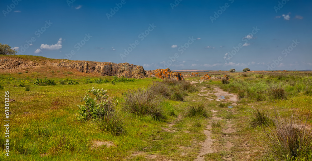 Summer landscape at Vadu Summer landscape at Vadu