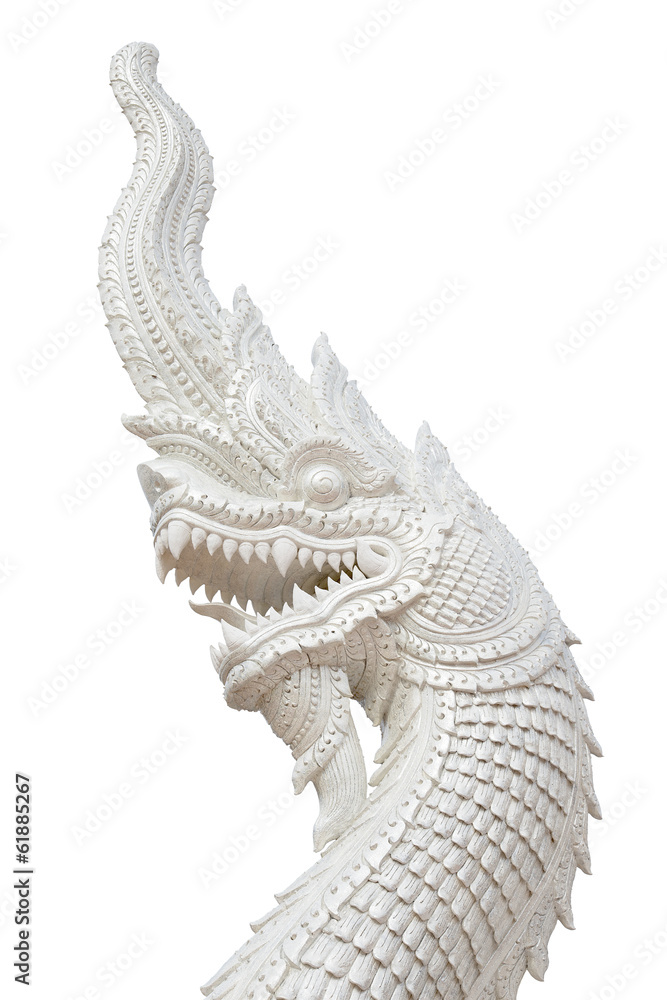 Fototapeta premium Head naka isolated on white background