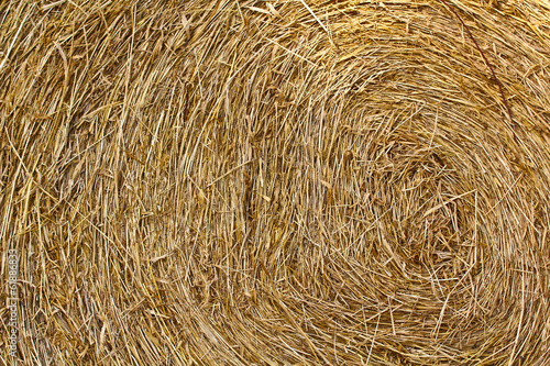 Dry straw background photo