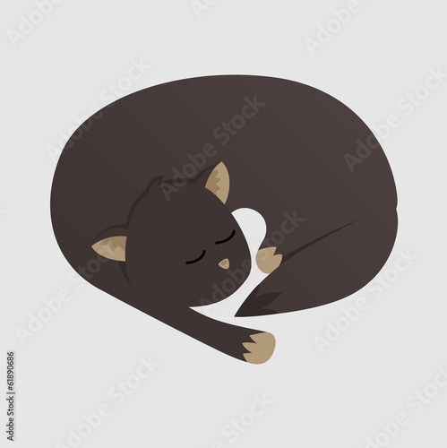 Sleepy cat